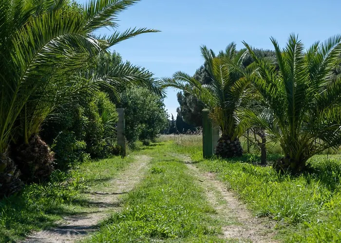 Hôtel accueillant les animaux: Camping Sol Y Mar