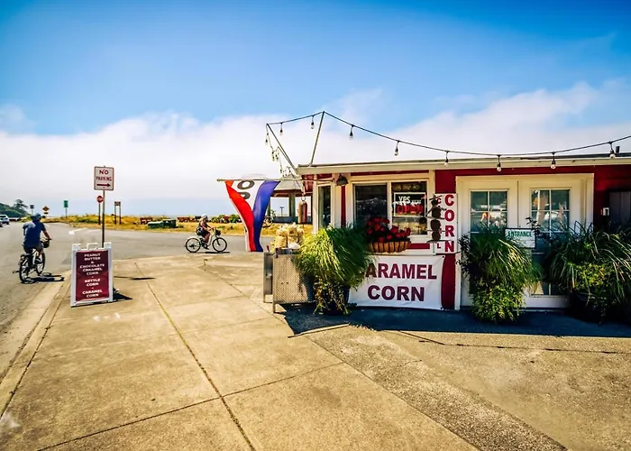Ace Cabin