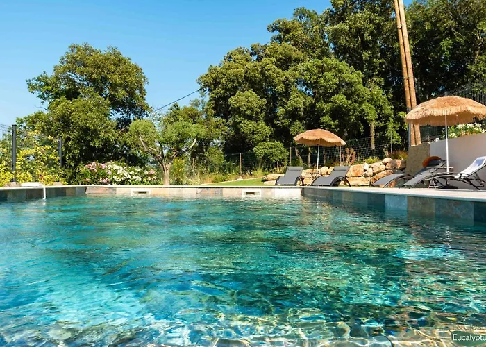 Le Clos des Eucalyptus