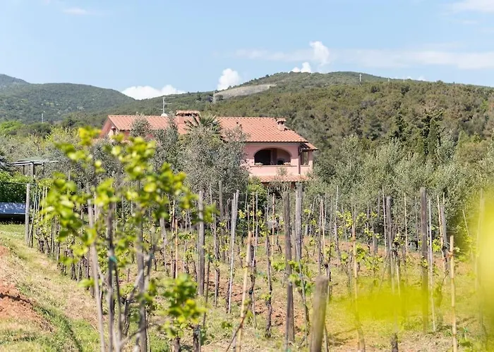 Casa vacanze: Agriturismo De Santis