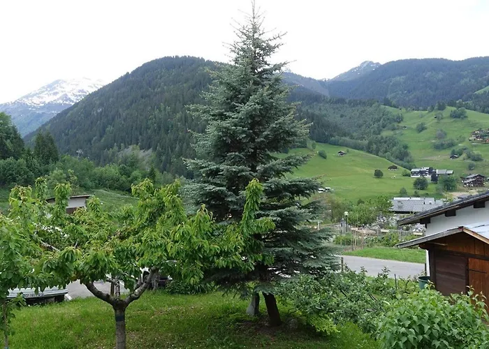 Chalet cosy 3-4 pers, idéalement situé, à 500m des pistes et 100m des commerces - FR-1-342-220