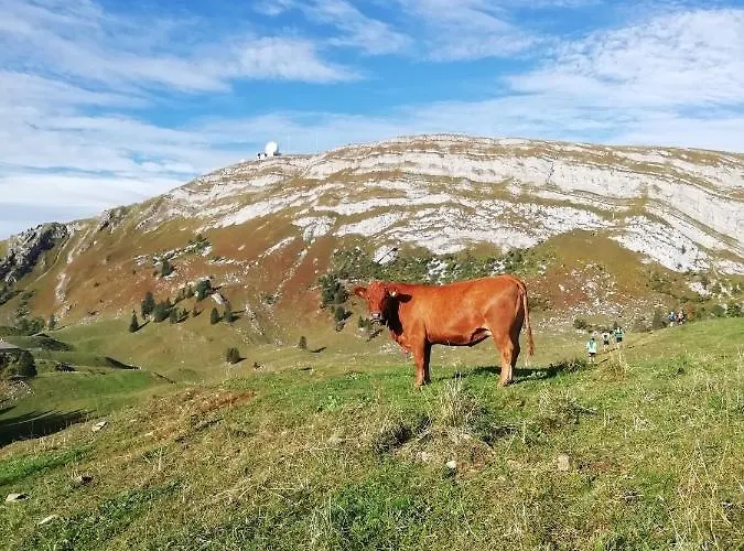 Cahute de montagne pour profiter du Haut Jura