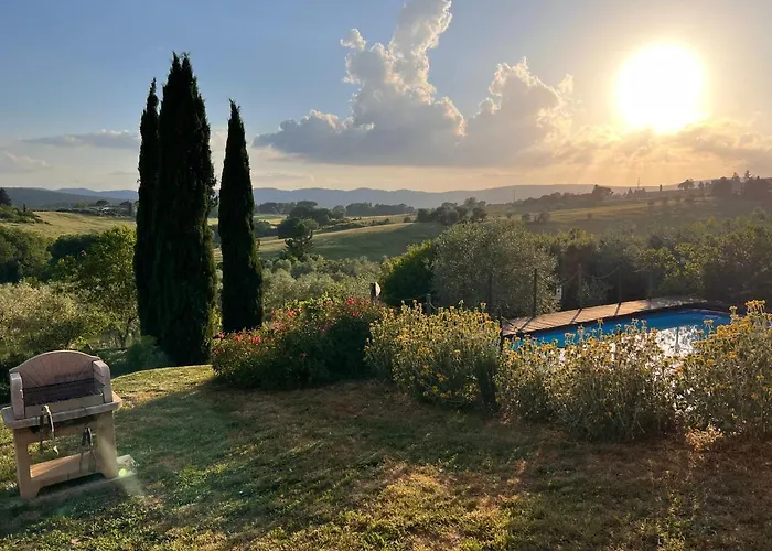 Il Pettirosso Di