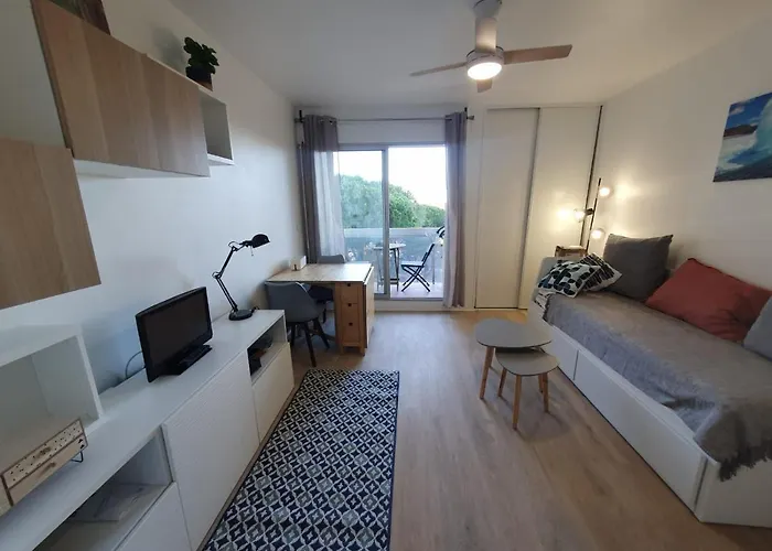 Charmant studio refait à neuf CARNON port 34