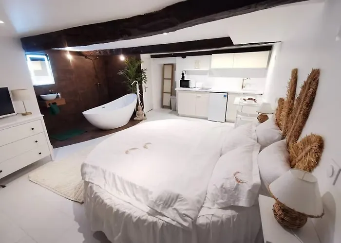 Studio équipé avec Lit rond / baignoire ilot / Table massage Aux Arcs