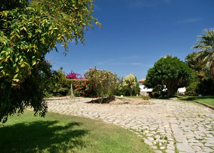 Orrì