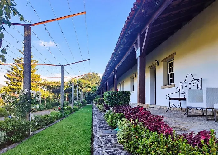 Quinta Dom Sapo - Agroturismo