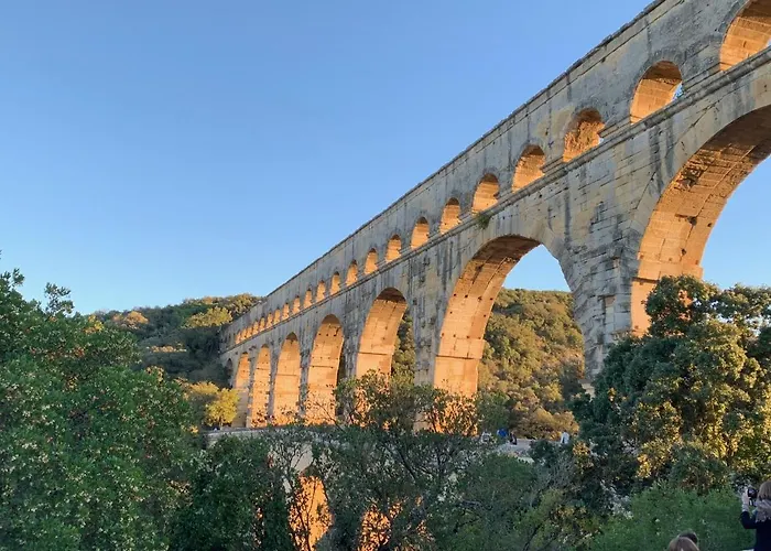Le Patio du Mûrier