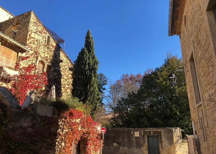 Le Patio du Mûrier