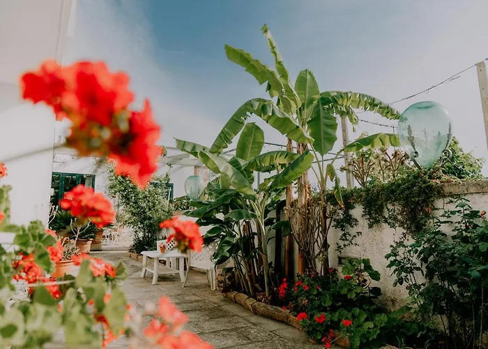 Hotel sulla spiaggia: Masseria Agriturismo Il Sorriso Degli Ulivi - Dimora di Charme