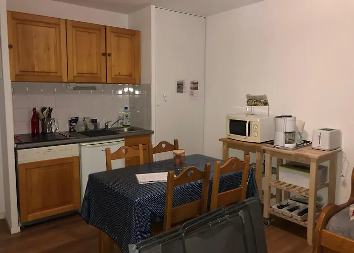 SUPER BESSE Appartement LE GÎTE BESSARD 6 couchages Le Bois de la Reine