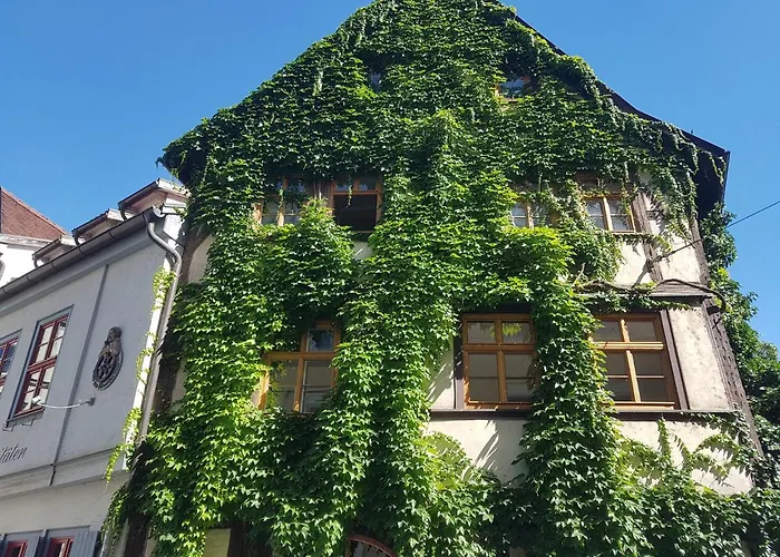 Ferienwohnung am Erfurter Dom