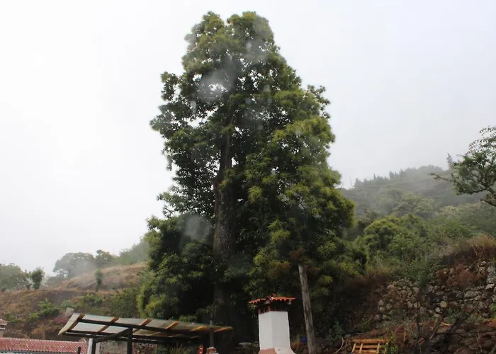 Finca El Cole