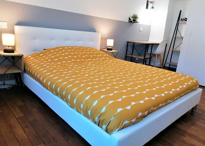 Appartement moderne entièrement rénové