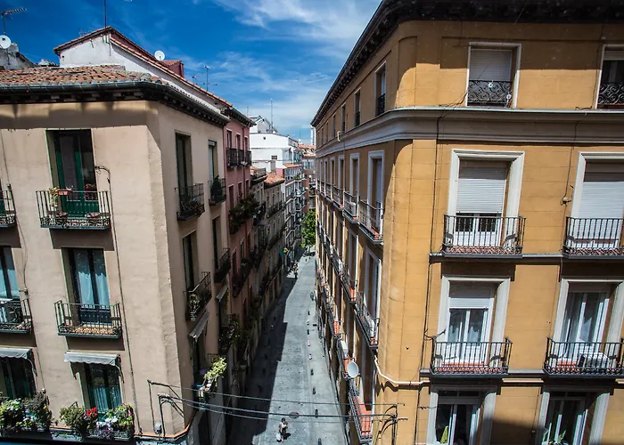 Hotel con vista: Petit Palace Plaza Mayor