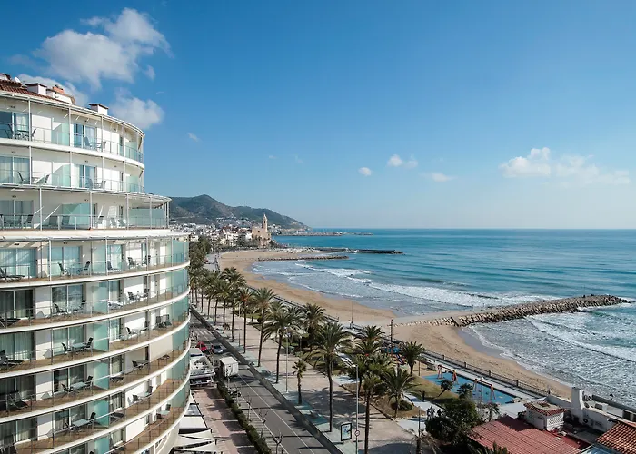 Perros hoteles Calipolis