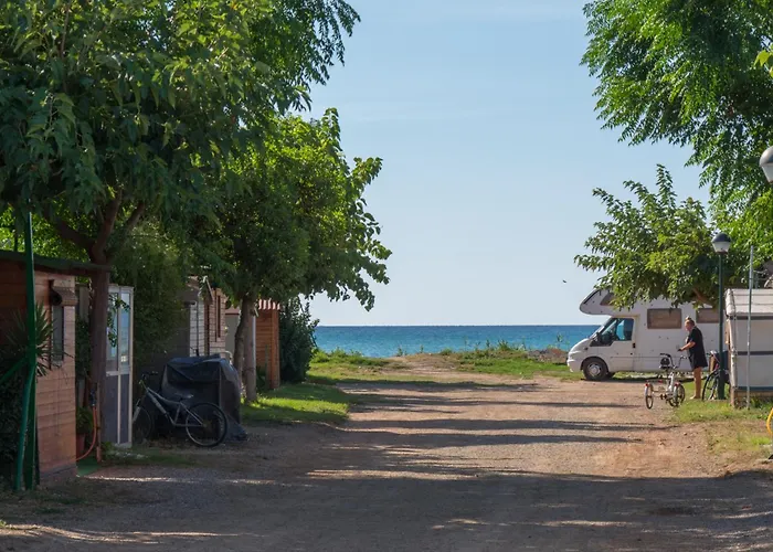 Hotel que admite mascotas: Camping Playa y Fiesta