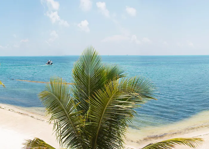 Hotel Ping Pong: All Ritmo Cancun Resort & Water Park