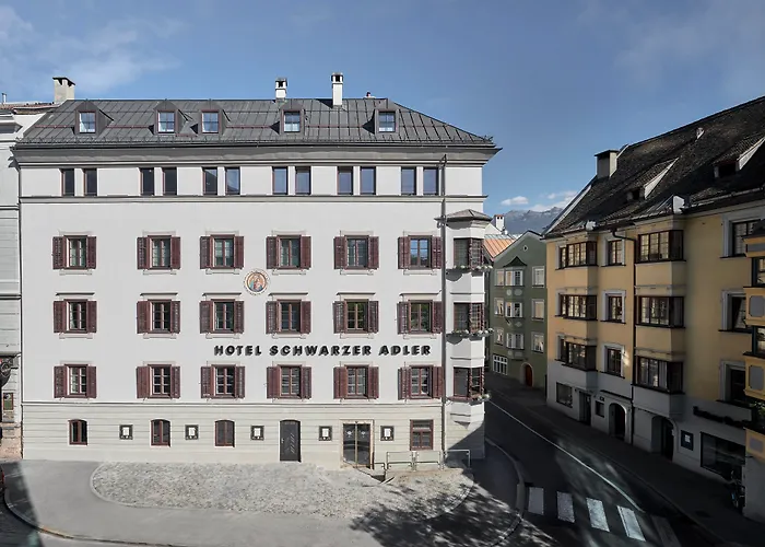Schwarzer Adler