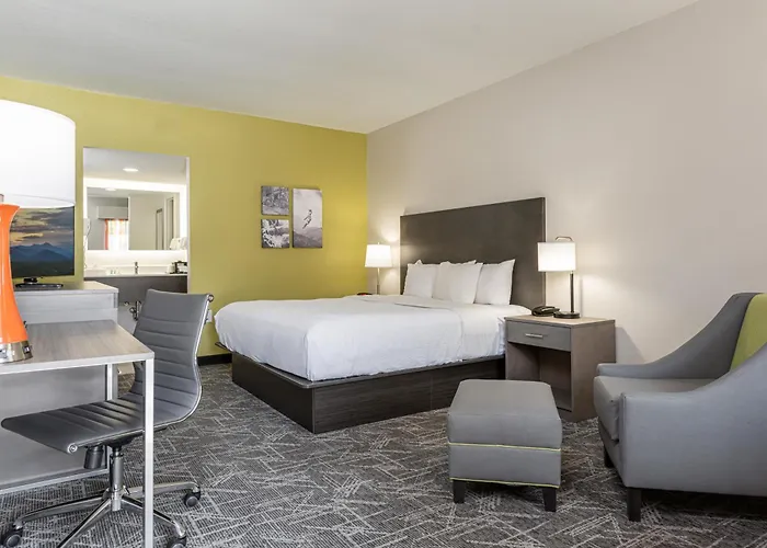 Pet Friendly hotel: Quality Inn Asheville Downtown Tunnel Rd