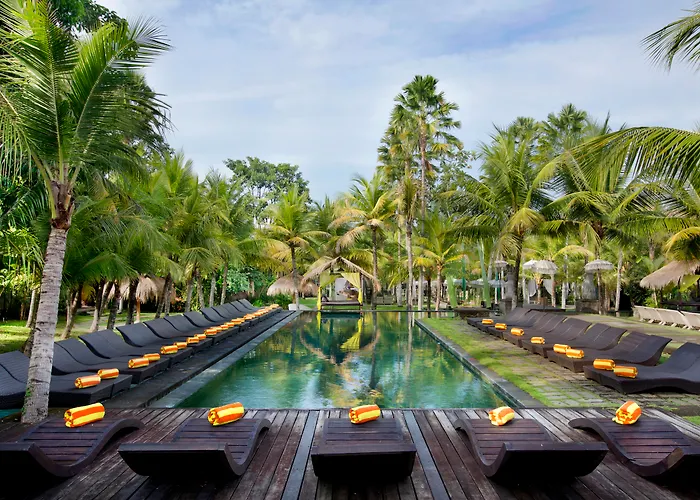 Ping pong hotels Mansion & Spa