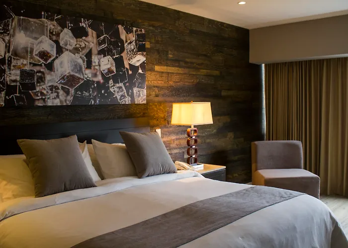 Ventura & Suites Interlomas