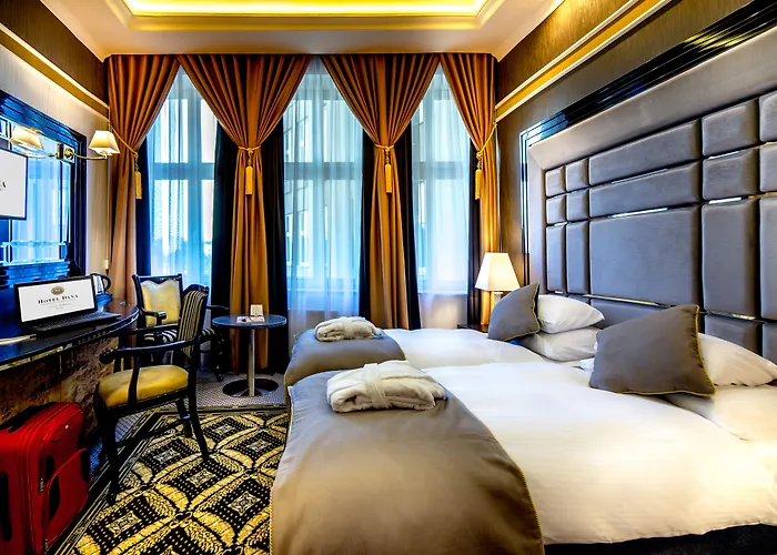 Hotel Dana Business & Conference