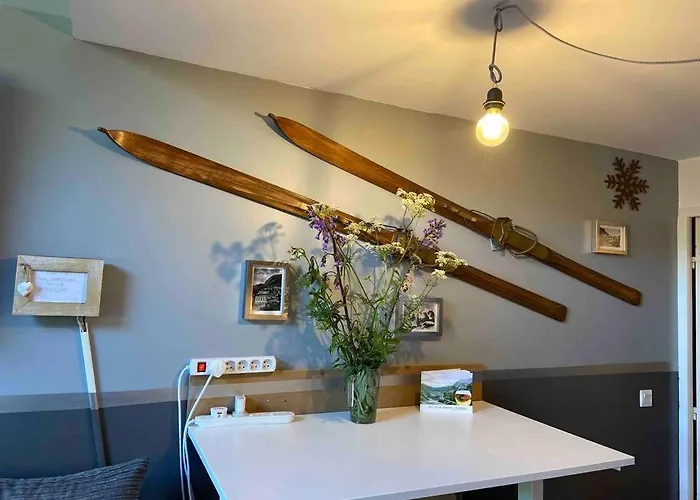 Penthouse Apartment 28M² In Avoriaz Right Next To 3 Ski Lifts, Lake View