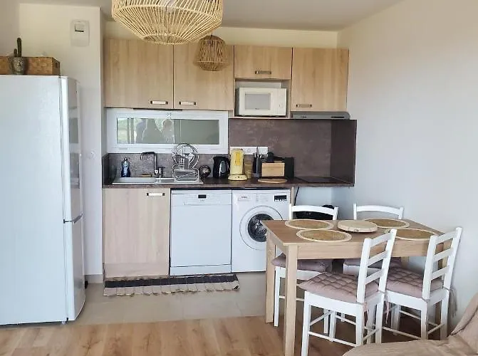 Appartement T2 sur Mauguio avec grande terrasse