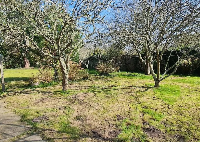 Grande Maison dans le Bourg de Nevez + jardin