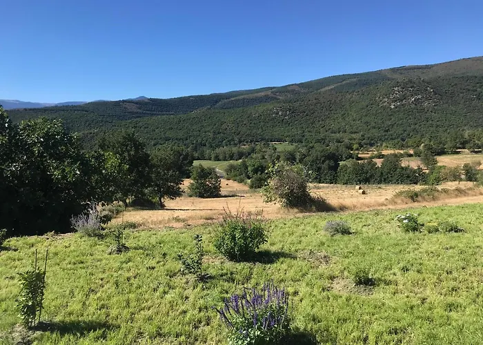 Els Pirineus