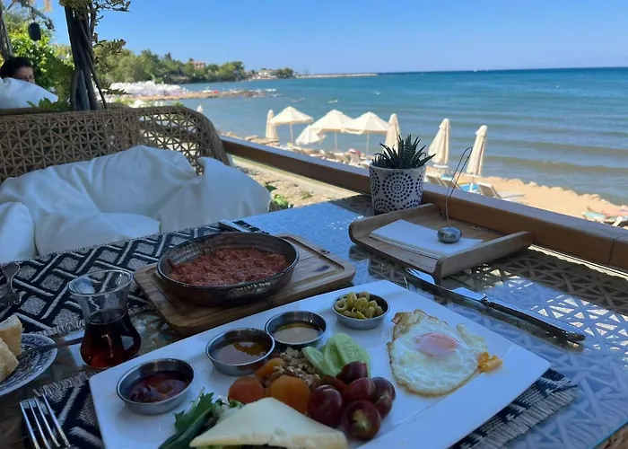 Hôtel 3 étoiles: Cuba Beach Hotel