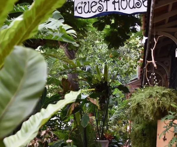 Cheap hotel: Afonso Guest House - Fontainhas