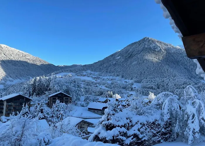 Chalet Olimon