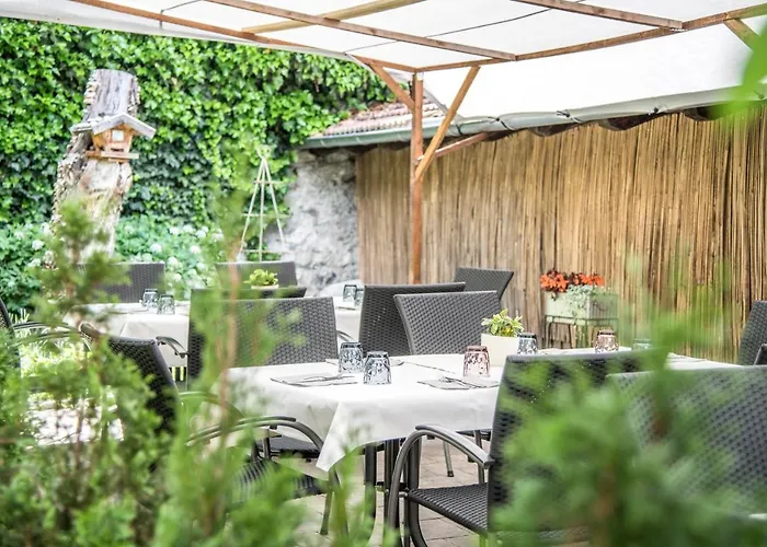 B&B Zur Traube