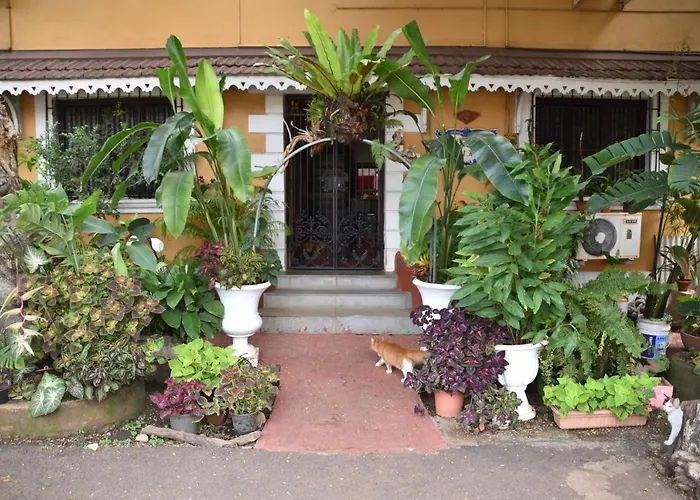 Cheap hotel: Afonso Guest House - Fontainhas