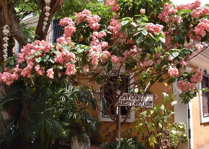 Cheap hotel: Afonso Guest House - Fontainhas