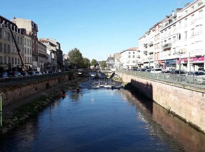 Le Pinaud