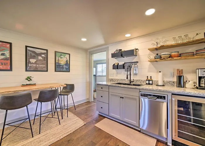Updated Brevard Home - Close To Downtown!