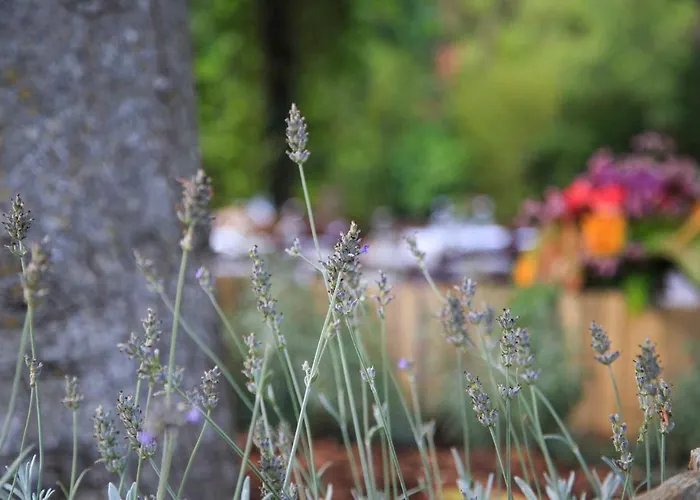 Hotel familiare: Podere La Miniera Relax & Food