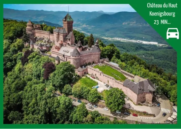La Parenthese Alsacienne Au Coeur De Selestat