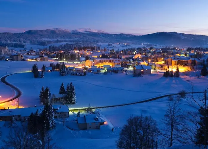 Babaute 7, studio typique au pied des pistes