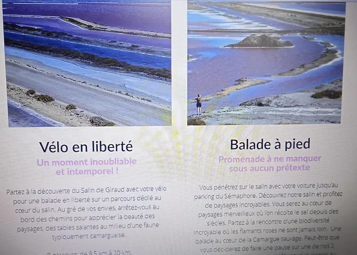 Les Oliviers de Camargue