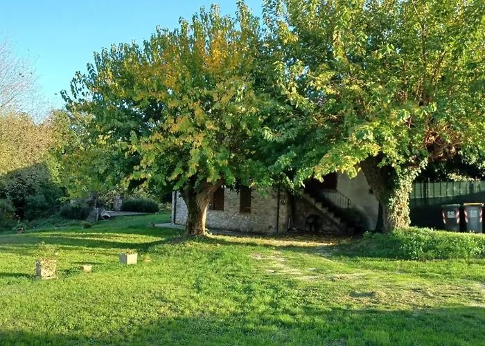 Canonici