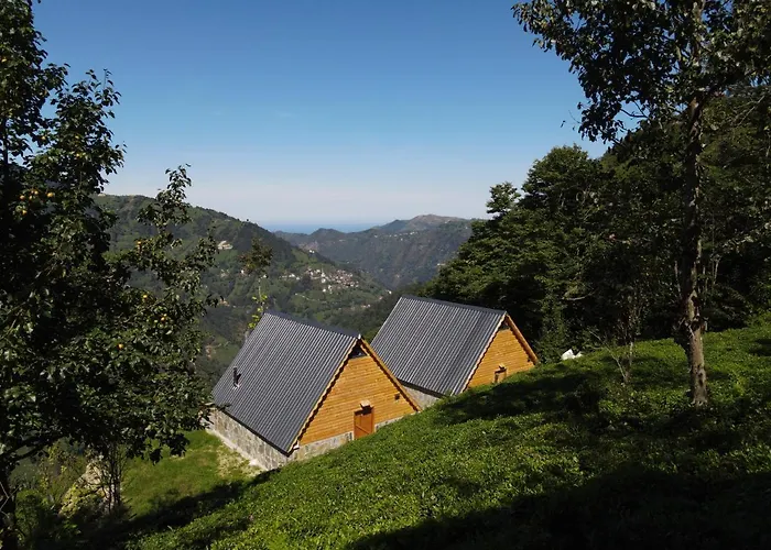 Onasuitbungalow