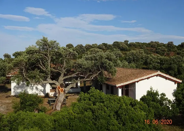 Agriturismo Conca' E Janas