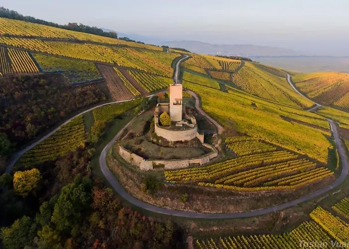 Aux Portes de Colmar Évasion sur la route des Vins , à 5 minutes de Colmar