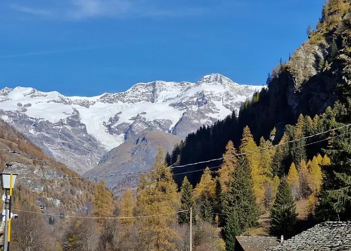 Flocon De Neige - Bluchalet
