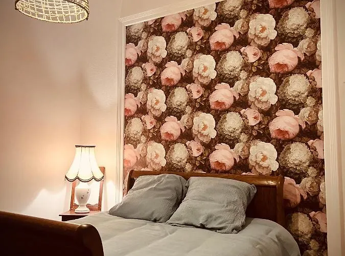Petit prince chambre à louer