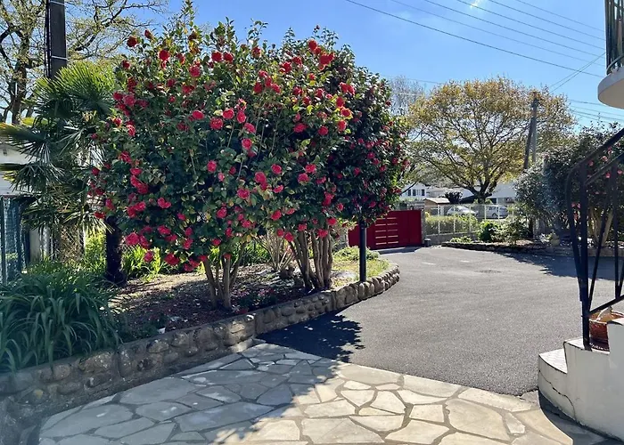Rez-de-jardin rénové avec terrasse à Cambo-les-Bains, T1 Bis pour 2 personnes, équipé et lumineux - FR-1-495-93